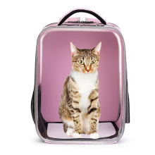 Traveling Outdoor clear breathable Bag Cat Backpack Bubble Space Capsule cat pet carrier travel backpack bag for outdoor travel